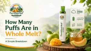 How Many Puffs Are in a Whole Melt