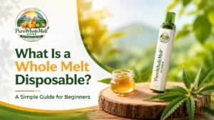 What Is a Whole Melt Disposable